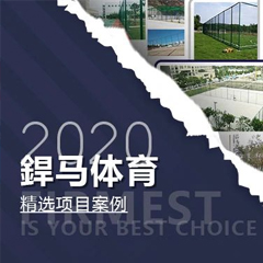 【回顾】2020年体育全年精选项目案例！